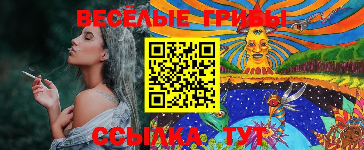 Псилоцибиновые грибы мухоморы Донской