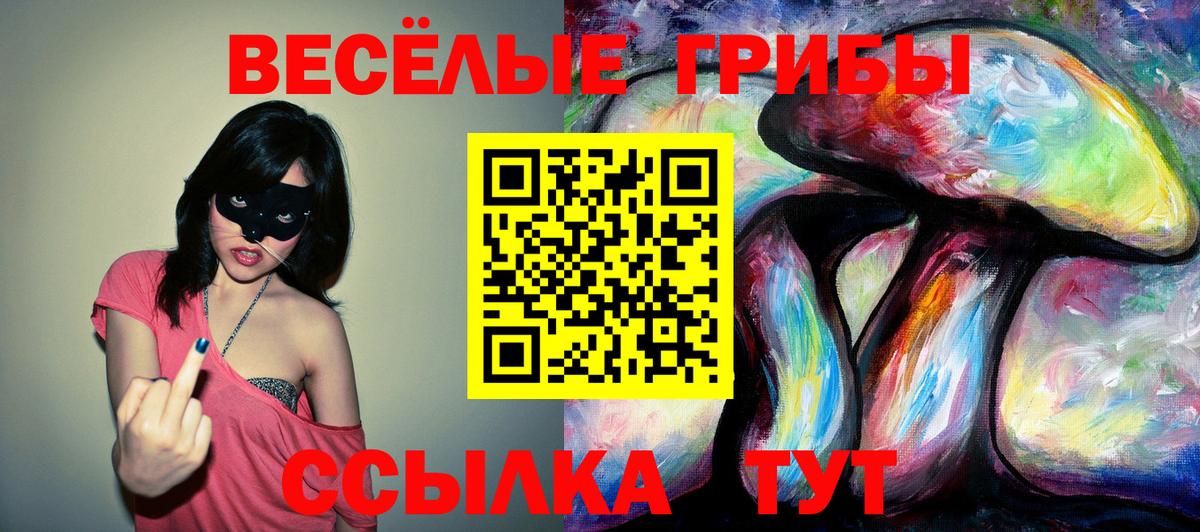 Донской  Псилоцибиновые грибы GOLDEN TEACHER  Вход с VPN 