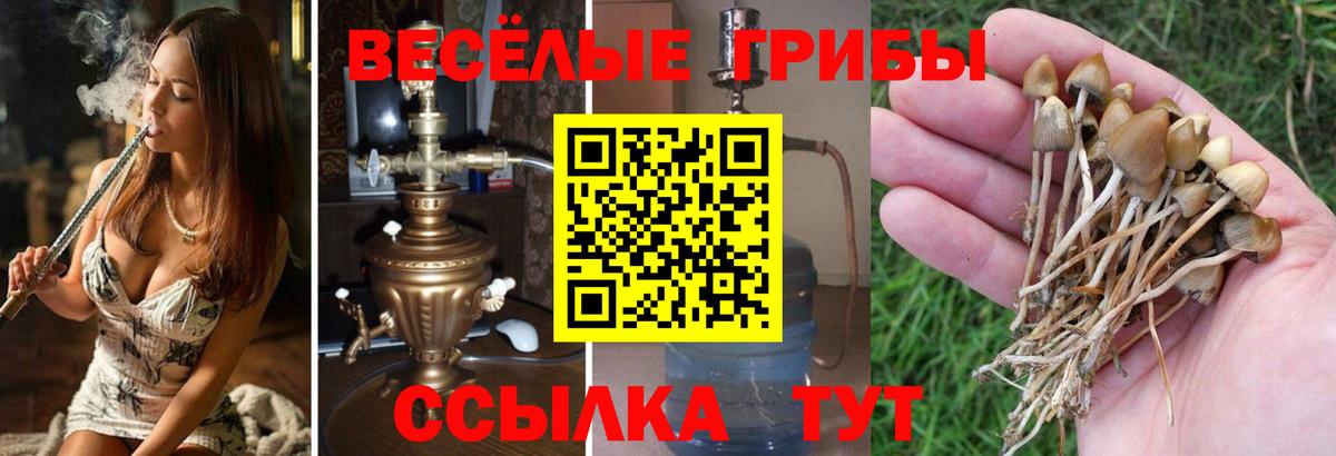 АМФЕТАМИН Донской